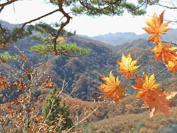 蓝天立最新消息，推动绿色发展，引领广西新未来